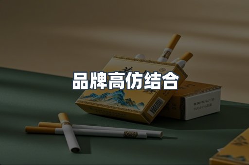 品牌高仿结合